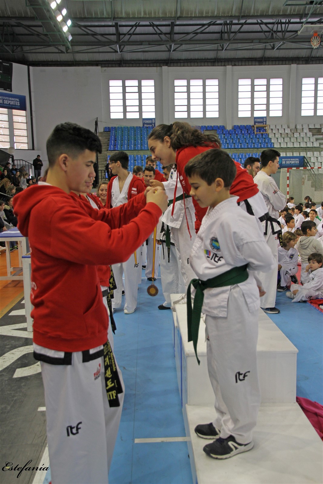 Taekwondo (254).jpg